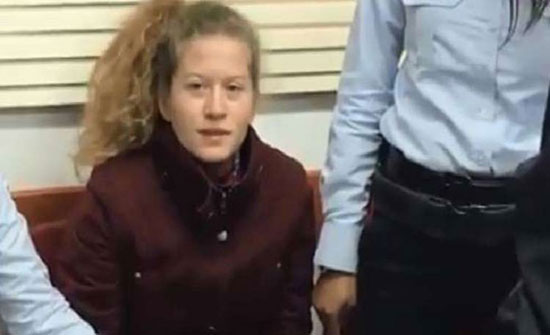 شاهد بالفيديو .. عهد التميمي في قاعة المحكمة الإسرائيلية وعلامات الارهاق ظاهرةعليها شاهد بالفيديو .. عهد التميمي في قاعة المحكمة الإسرائيلية وعلامات الارهاق ظاهرةعليها