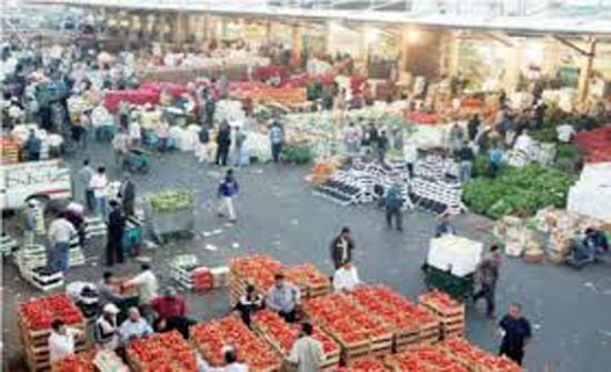 2284 طن خضار وفواكه ترد للسوق المركزي اليوم 2284 طن خضار وفواكه ترد للسوق المركزي اليوم