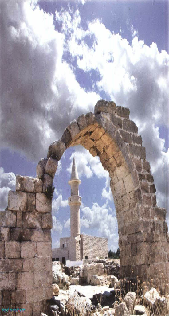 مؤتة تحتفي بقادة المعركة الشهيرة بزراعة حدائق مقاماتهم