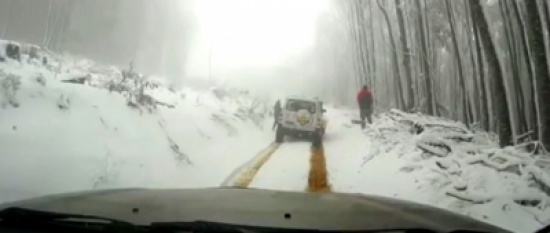 شاهد بالفيديو ماذا يحدث عندما تنسى تأمين المكابح