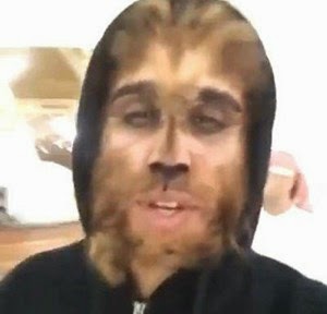 كويتي يتحول الى ذئب