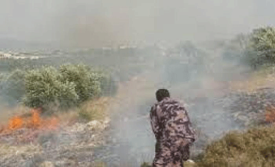 الدفاع المدني يخمد حريق محصول قمح في اربد الدفاع المدني يخمد حريق محصول قمح في اربد