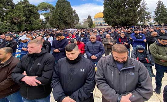 50 ألفا يؤدون صلاة الجمعة في المسجد الأقصى 50 ألفا يؤدون صلاة الجمعة في المسجد الأقصى