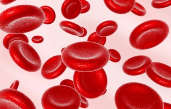 مؤتمر امراض الدم يؤكد ضرورة توحيد الجهود لعلاج السرطان