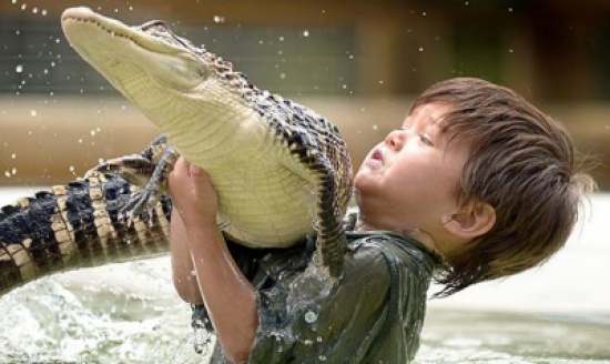 طفل يصارع التماسيح والثعابين ( فيديو -  صور )