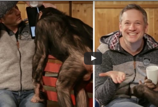 شاهد..  لقطات طريفة لساحر يستخدم الآيباد في خداع قرد