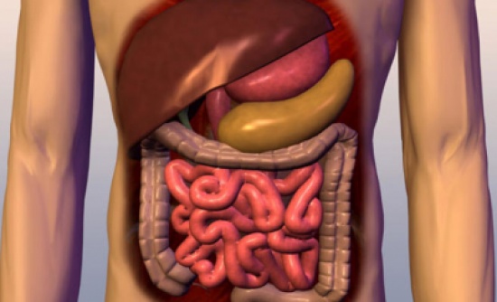 4 عادات سيئة بعد الأكل تضر بصحة الجهاز الهضمي.. احذروها