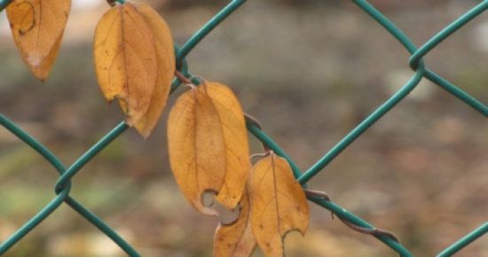 الأربعاء ... انخفاض الحرارة وأجواء خريفية معتدلة ورطبة