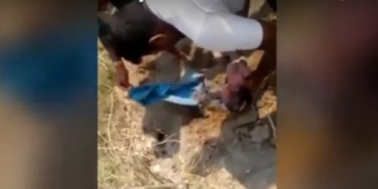 فيديو :لقطات مروعة.. والدان يدفنان رضيعة وهي حية! فيديو :لقطات مروعة.. والدان يدفنان رضيعة وهي حية!