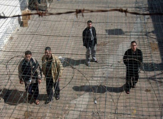 20 يومًا على معركة "الحرية والكرامة"