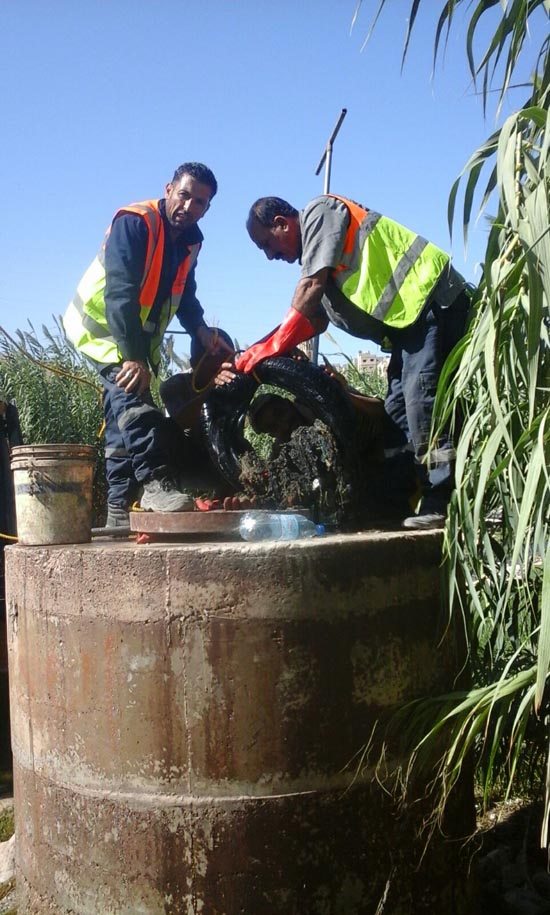 بالصور : مزارعون في سيل الزرقاء يروون مزروعاتهم بمياه الصرف الصحي