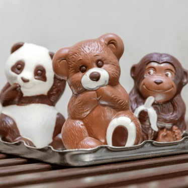 Teaser Entdecke & Erlebe