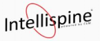Intellispine am Neumarkt UG (hb) Logo