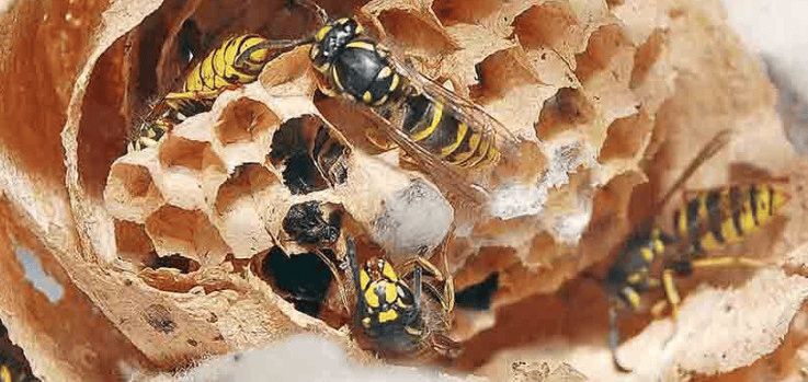 Teaser Professionell - Clever - Serviceorientiert