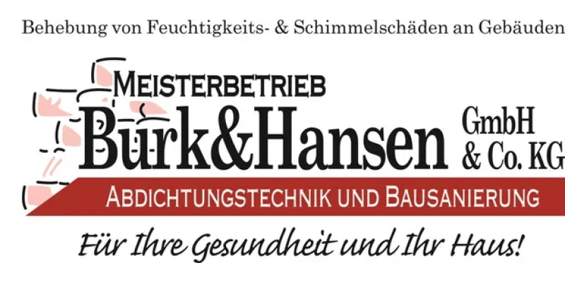 Teaser Behebung von Feuchtigkeits- & Schimmelschäden an Gebäuden - Wir beraten Sie gerne!