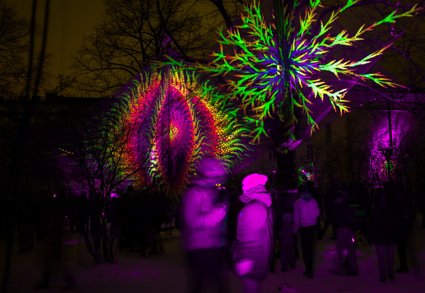 Flowers of Life. Lux Helsinki 2017