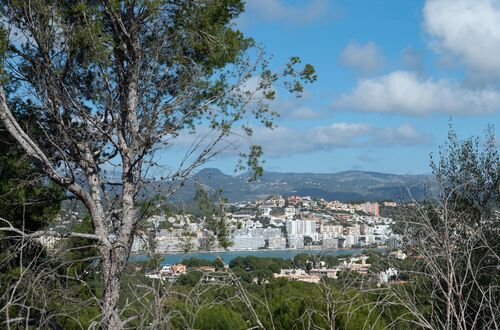 Top sea-view plot in prime location