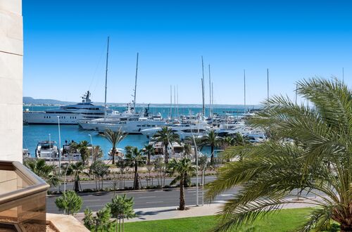 Living surrounded by the sea, yachts and the Mediterranean atmosphere