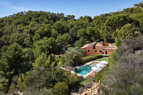 Authentic Finca with 60,000 m² of Land and Total Privacy near Puerto Andratx