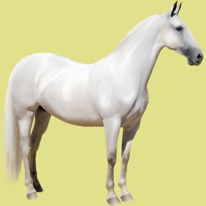 1000976-normal.jpg