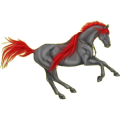 Верховая лошадь Гнедая