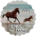 riv. neva