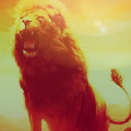 house lannister