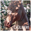 gülperi