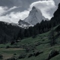 Норвежский лес