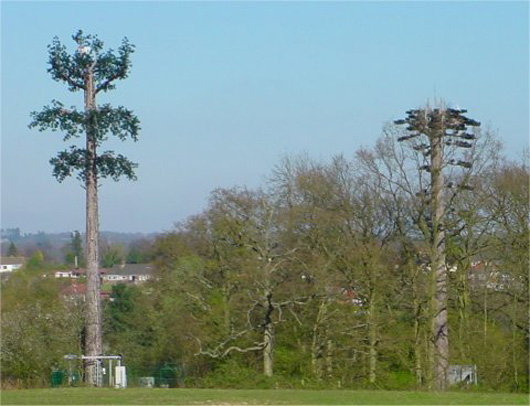 twotrees_530