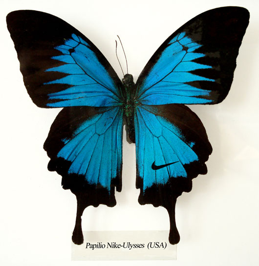 branded butterfly wings - by Koert van Mensvoort