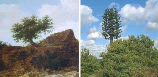 tree_in_the_dunes