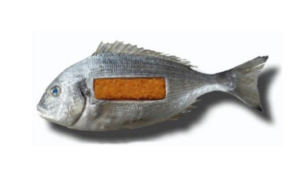 fish_stick-e1314517554362