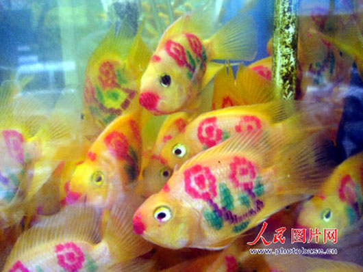 tattooed_goldfishes_530.jpg