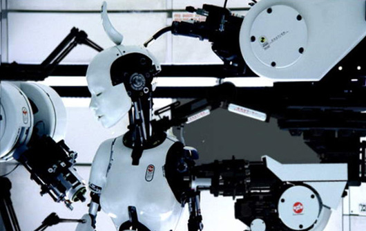 bjorklove_530_system_animals