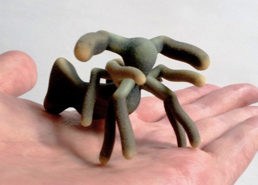 An Entoform