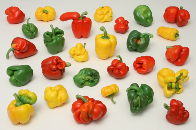 MORPHOpaprikas