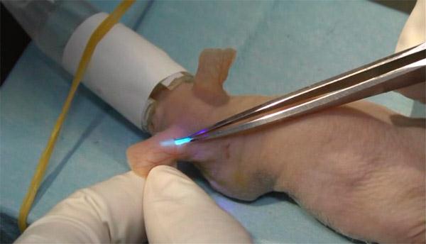 glowing-implant-custom-2-1313701668