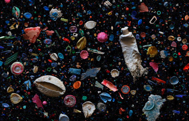 Mandy Barker Plastic Ocean
