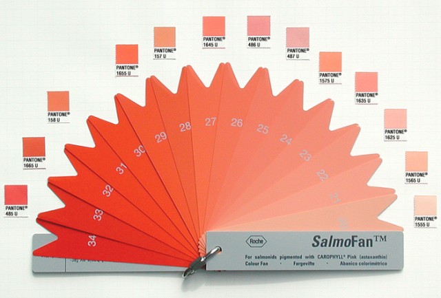 Salmofan salmon dyed pink