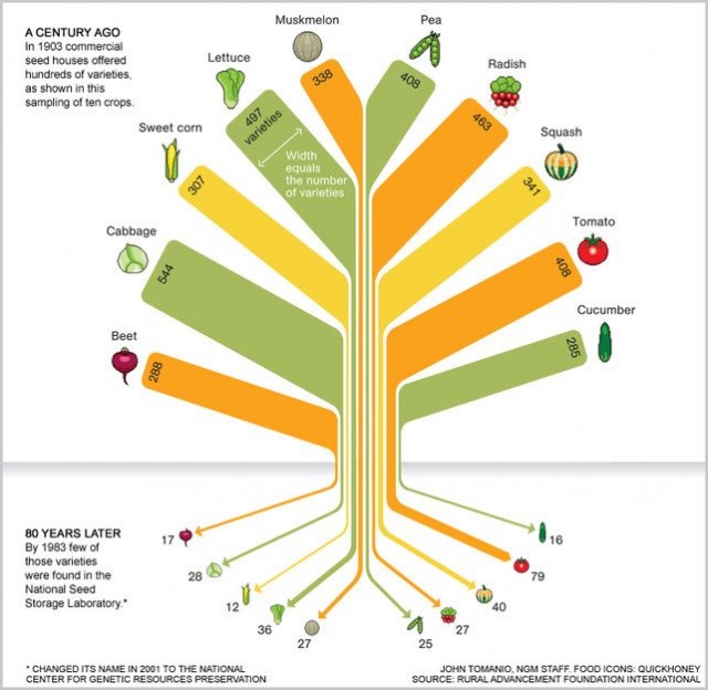loss of crop biodiversity