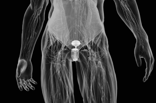 shenu cyborg bladder retain water