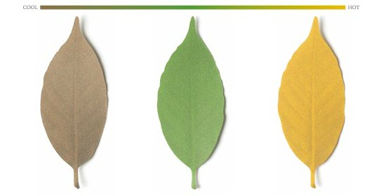 leaf-thermometer-temperature-gauge-designer-japan-3