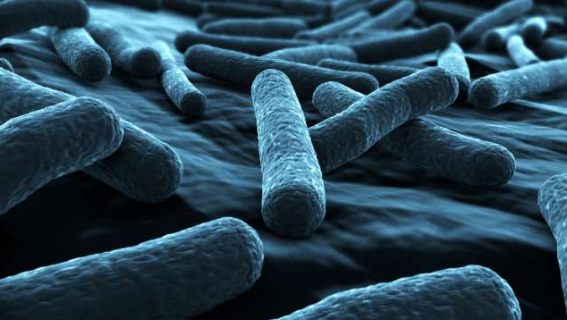 bacteria turn carbon into fuel