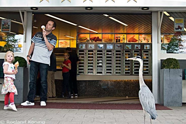 Febo_14062012_6284