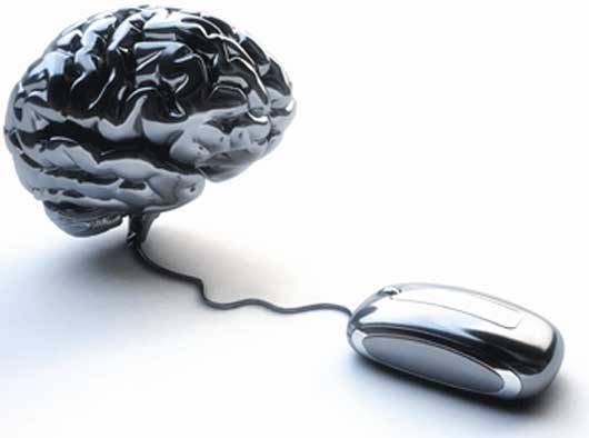 BrainHack_530