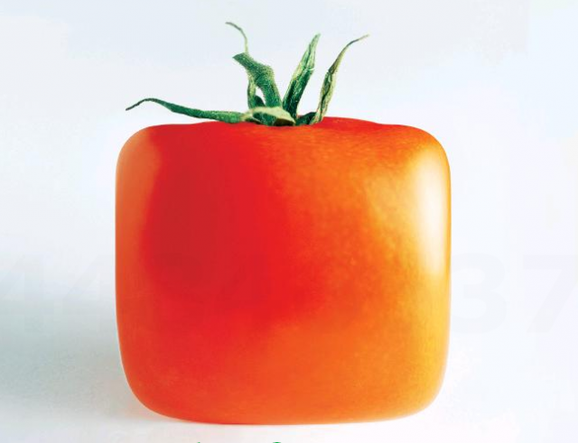 future_food
