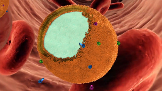 nanosponge