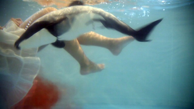 give birth to an endangered species