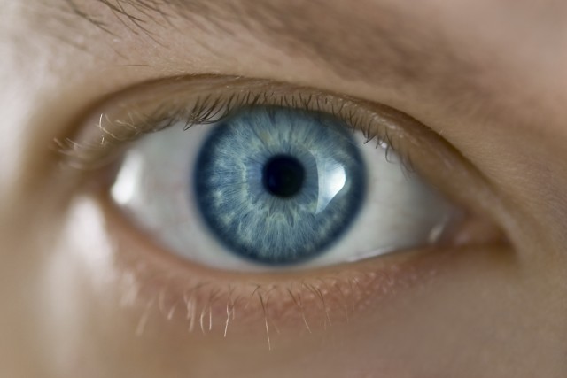 shutterstock_44288479